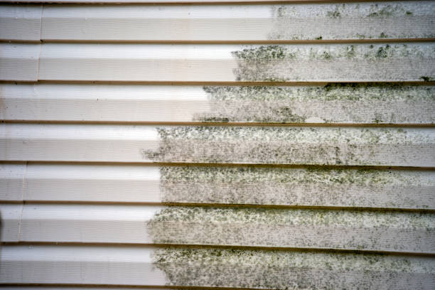 Best Mattress Disposal  in Una, WA