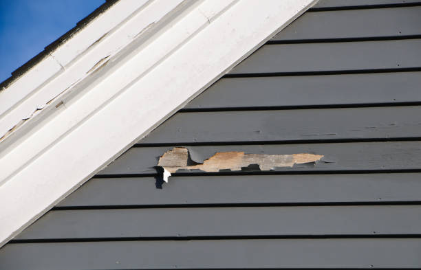 Best Hoarding Cleanup  in Una, WA